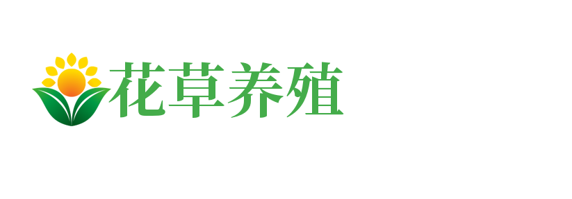 陕西省延安市甘泉县很的廉复印机有限公司,广东区陕西省延安市甘泉县很的廉复印机有限公司